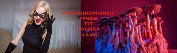 героин Бородино