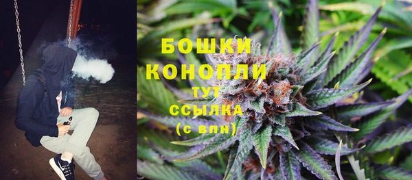 спиды Липки