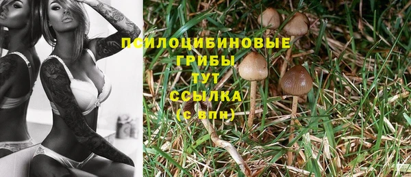 прущая мука Бугульма