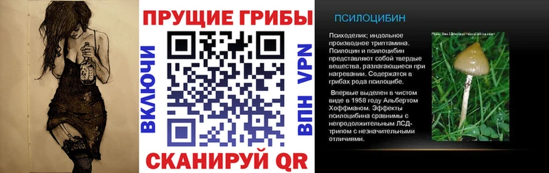 Псилоцибиновые грибы прущие грибы  как найти наркотики  Буй 